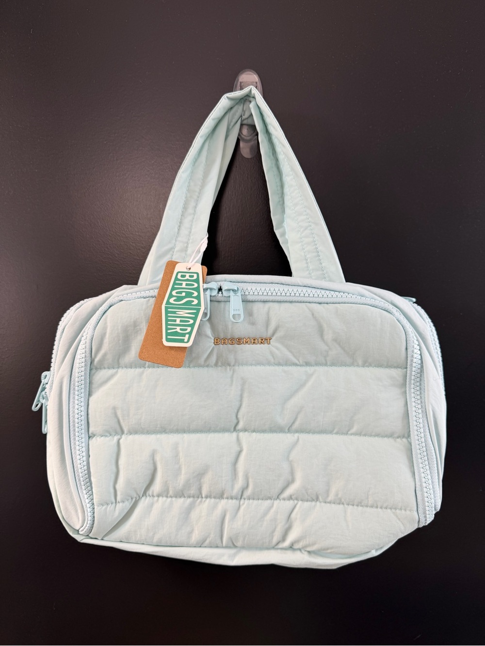 BAGSMART Light Blue Tote Bag